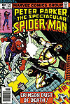 Peter Parker, The Spectacular Spider-Man (1976)  n° 30 - Marvel Comics