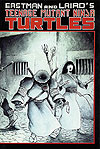 Teenage Mutant Ninja Turtles (1984)  n° 17 - Mirage Studios