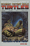 Teenage Mutant Ninja Turtles (1984)  n° 19 - Mirage Studios