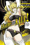 Akame Ga Kill! (2015)  n° 12 - Yen Press