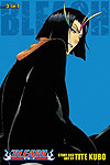 Bleach 3-In-1 Edition (2011)  n° 13 - Viz Media