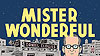 Mister Wonderful: A Love Story (2011)  - Pantheon Books