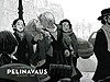 Villimpi Pohjola: Pelinavaus (2017)  - Wsoy