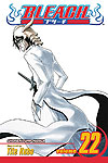 Bleach (2004)  n° 22 - Viz Media