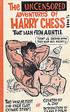 Uncensored Adventures of Harry Chess, The (1966)  - A. Jay