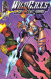 Wildc.a.t.s: Covert Action Teams (1992)  n° 19 - Image Comics