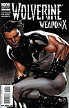 Wolverine: Weapon X (2009)  n° 1 - Marvel Comics