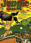 Jungle Comics (1940)  n° 10 - Fiction House