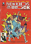 New Kids On The Block em Quadrinhos  n° 13 - Globo