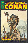 Espada Selvagem de Conan, A - A Coleção  n° 14 - Panini