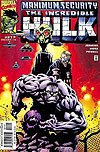 Incredible Hulk, The (2000)  n° 21