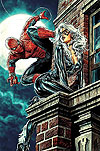 Amazing Spider-Man, The (2025)  n&deg;&nbsp;7