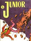 Júnior  n° 268 - Rge