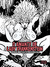 Amante de Lady Frankenstein, O  - Risco Editora