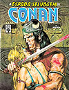 Espada Selvagem de Conan - Reedição, A  n° 19 - Abril