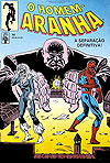Homem-Aranha  n° 80 - Abril