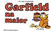 Garfield Na Maior  - Cedibra