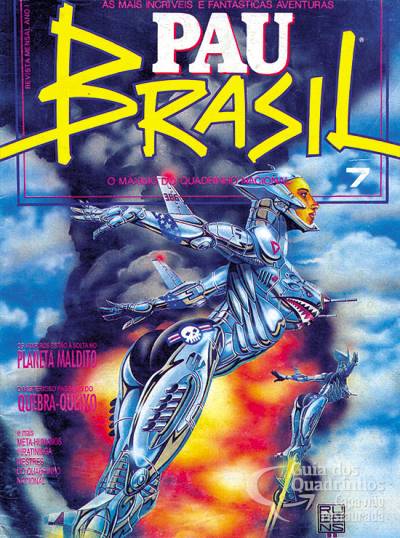 Pau Brasil n° 7 - Vidente