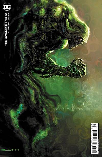 Swamp Thing, The (2021)   n° 12 - DC Comics