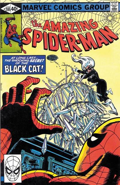Amazing Spider-Man, The (1963)   n° 205 - Marvel Comics