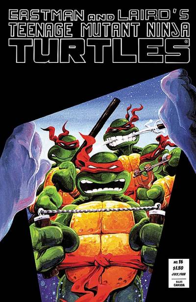 Teenage Mutant Ninja Turtles (1984)   n° 16 - Mirage Studios