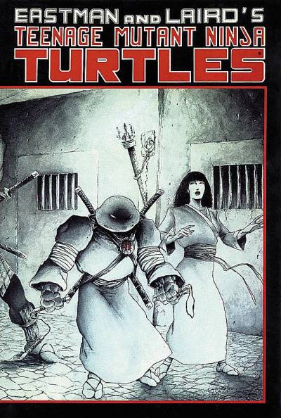 Teenage Mutant Ninja Turtles (1984)   n° 17 - Mirage Studios