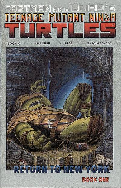 Teenage Mutant Ninja Turtles (1984)   n° 19 - Mirage Studios
