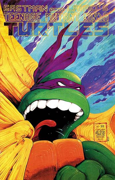 Teenage Mutant Ninja Turtles (1984)   n° 22 - Mirage Studios
