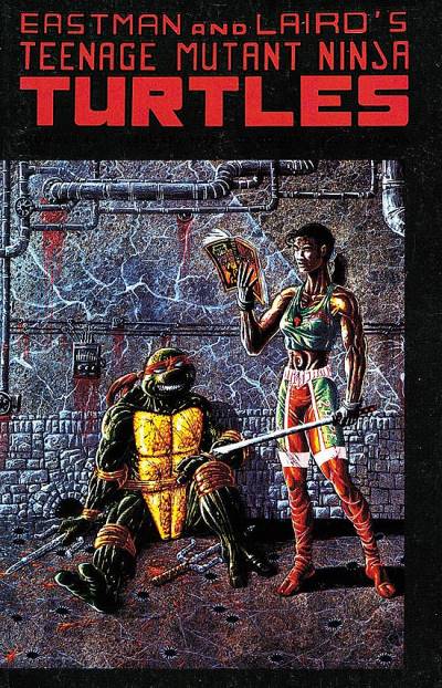 Teenage Mutant Ninja Turtles (1984)   n° 44 - Mirage Studios