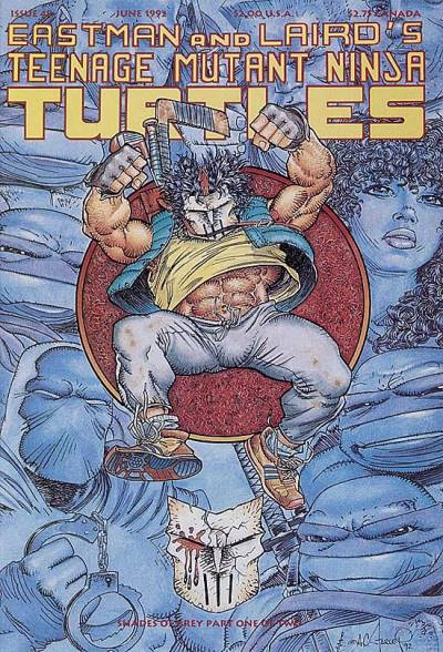Teenage Mutant Ninja Turtles (1984)   n° 48 - Mirage Studios