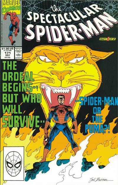 Peter Parker, The Spectacular Spider-Man (1976)   n° 171 - Marvel Comics