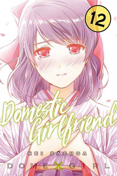 Domestic Girlfriend (2017)   n° 12 - Kodansha Comics Usa