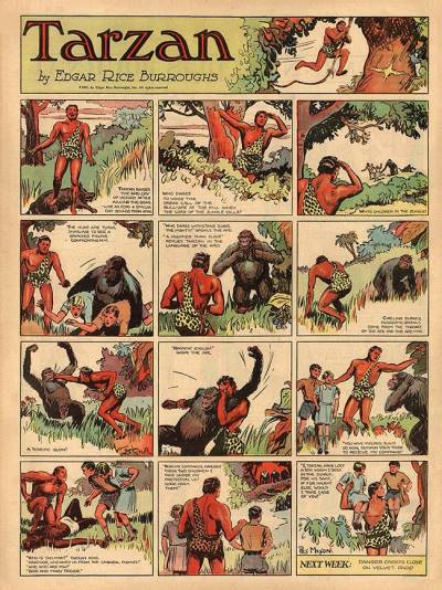 Tarzan (Páginas Dominicais) (1931)   n° 1 - United Feature Syndicate