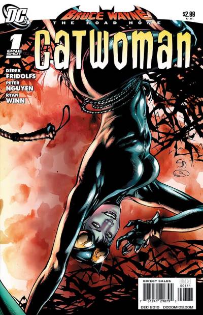 Bruce Wayne: The Road Home - Catwoman (2010)   n° 1 - DC Comics