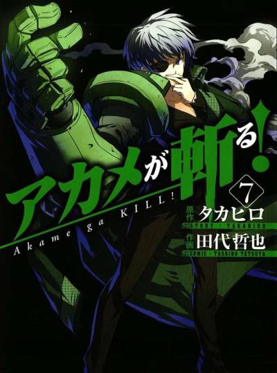 Akame Ga Kill! (2010)   n° 7 - Square Enix