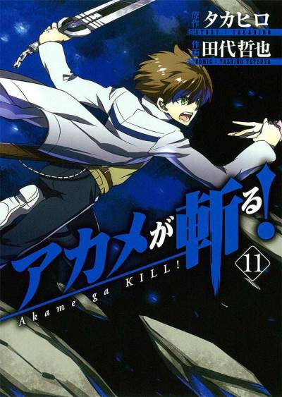 Akame Ga Kill! (2010)   n° 11 - Square Enix