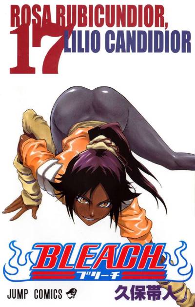 Bleach (2002)   n° 17 - Shueisha