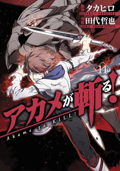 Akame Ga Kill! (2010)   n° 14 - Square Enix