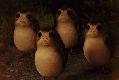 Porgs