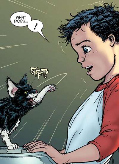 Alfred, O Gato