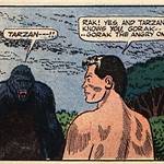 gorak_o_zangado_53651per_108500