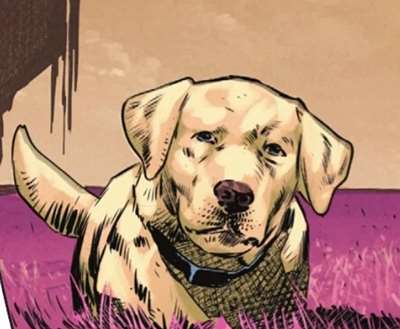 Krypto (Absolute)